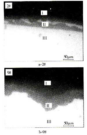 图3&nbsp;处理后试样的断面形貌